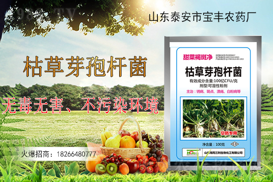 �ݲ�ѿ�ߗU���ܽ�Q������Щ���}���ݲ�ѿ�ߗU�����r�����ϵđ�����