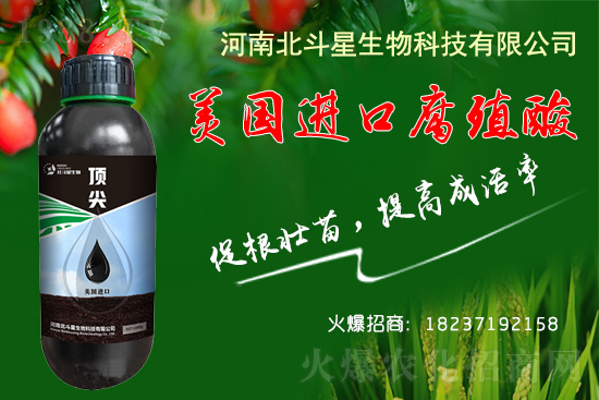 �ؗ͜l���£�����Nֲ��������������B(y��ng)�����o��