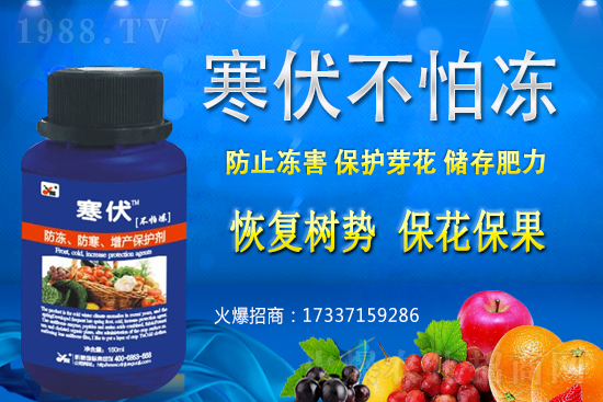 小麥凍害發(fā)生后該怎么辦?補(bǔ)救措施有哪些?小麥凍害和藥害如何區(qū)分?