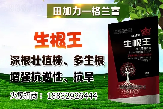 2020-12-24���������ؼZʳ�r������