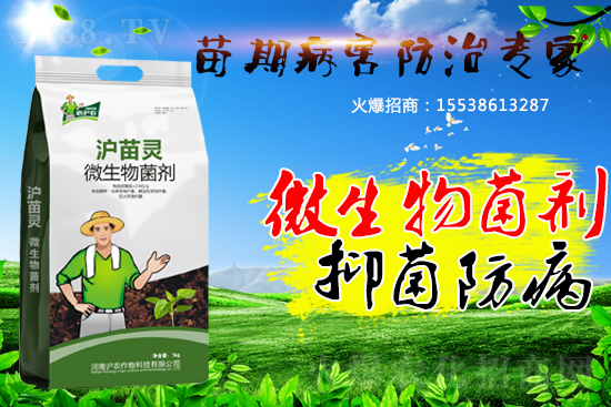 �������ڲ����������������������A(y��)�����������ˆ���