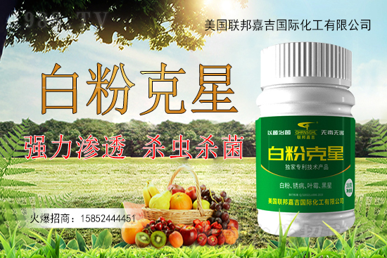 �����׷۲�����y�Է����������׷۲������ˎ����Ч������