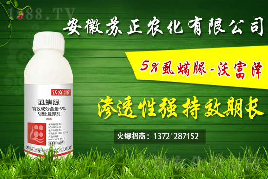 ʭ���嚢�xЧ��������ʭ��������ú͏���ʹ�÷�����