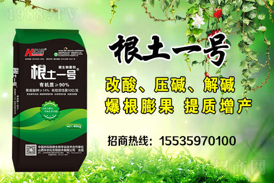     ΢��������е�΢������ʲô������΢�����������θ�����������