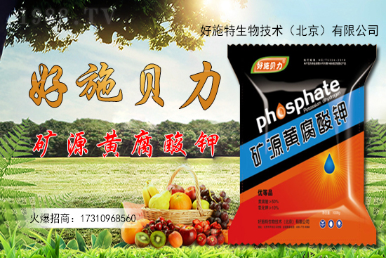 �󽪶����Xһ��󽪷Nֲǰ������������Nֲ���g��