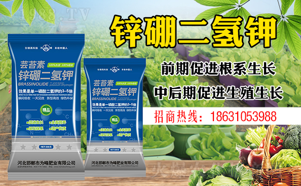 ����ƽ����ԓ���ӝ�ˮ����ʲôˮ����