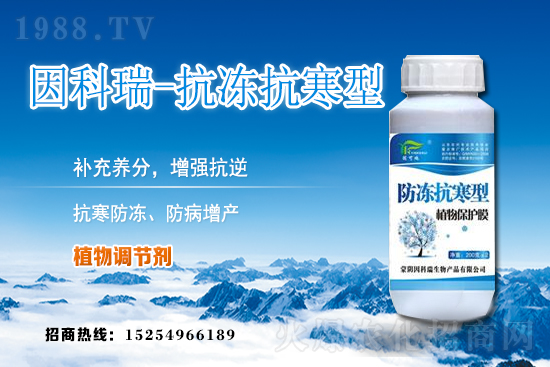 ���յ��ȃr(ji��)������Xһ�2020��12��9�յ��ȃr(ji��)������