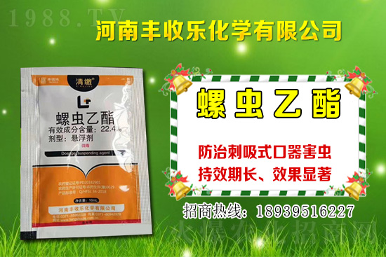 2021���޻��NֲƷ�Nԓ��ô�x���޻��x�NҪע����Щ���}��