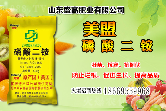 ����С���r��߀���^�m(x��)�ϝq����12��С���r���������