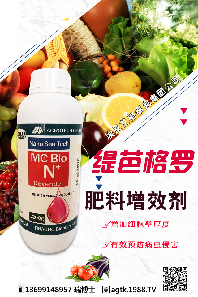 埃及艾格泰克集團公司