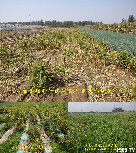     �l(f��)�������a(ch��n)Ʒ������أ�n������ʽ���ؠ����Ӳ����Ñ���������Ч����������