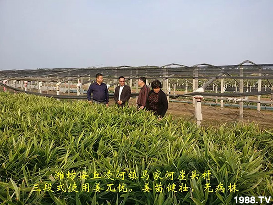     �l(f��)�������a(ch��n)Ʒ������أ�n������ʽ���ؠ����Ӳ����Ñ���������Ч����������