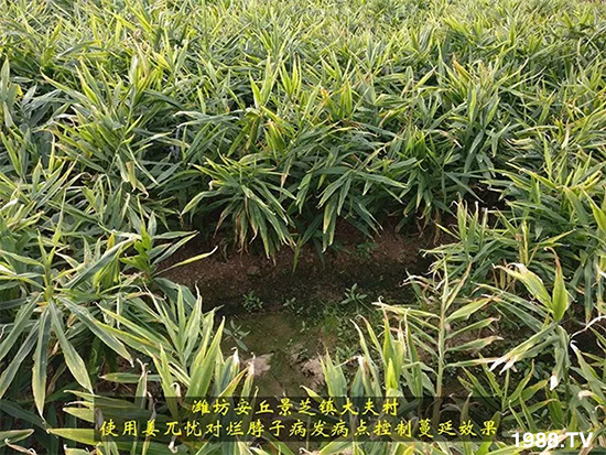     �l(f��)�������a(ch��n)Ʒ������أ�n������ʽ���ؠ����Ӳ����Ñ���������Ч�������ˣ�