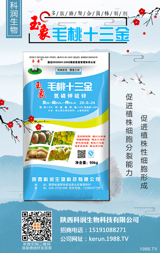 警惕:尿素連續(xù)漲價(jià)后,風(fēng)險(xiǎn)大嗎?2020-3-13各地最新報(bào)價(jià)!