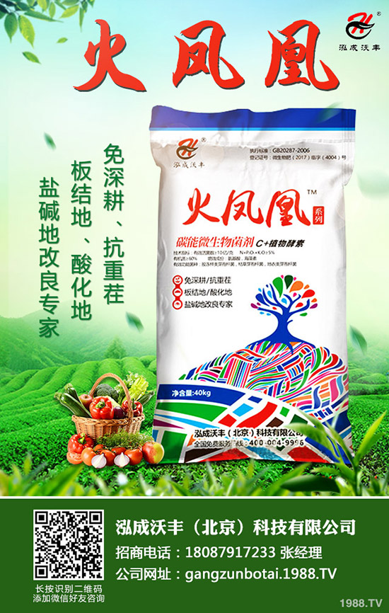 ��Ҋ�������ɺ��x����Щ���������ɺ��x���������