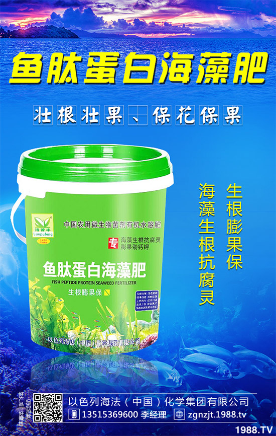 �²�������Ҫ���Ԇ��������²��������Ե�ע�����