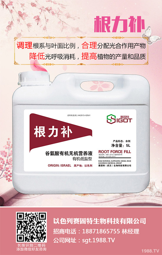 С��������Ҋ�Ĳ�������Щ��ԓ��η���������С���������η�����B