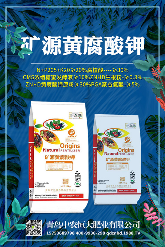 �紺���˷Nֲ���g(sh��)����Щ�����g����Ҫע��ʲô��