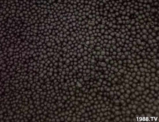 復合微生物菌劑-地康欣