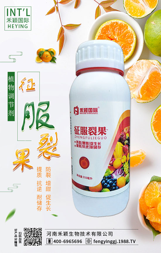 ����ʲô�r�g�m���ԷN�����ٷ�ˮ��������Щ��