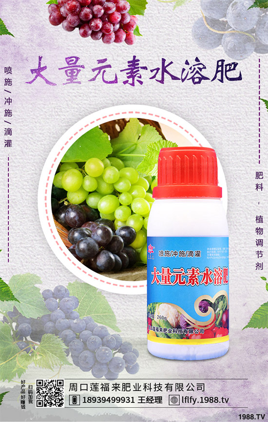 �Q��ԓ��ô�N���Q���ķNֲ���g(sh��)����������Ҫ�c(di��n)