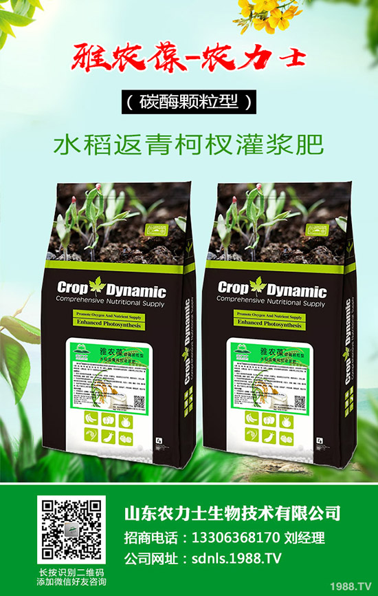 原料和成本持續(xù)上漲,復(fù)合肥貨緊價揚!最新行情走勢分析2020-3-17!