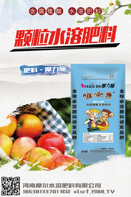 �Nֲ���g���X����2020���g�Nֲǰ����Ч�����