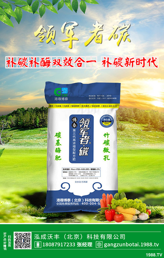 家中該如何養(yǎng)殖馬蹄蓮？養(yǎng)殖方法要點，花友必看！