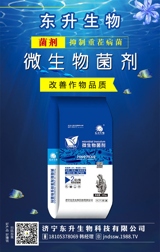 韭菜品種有哪些?韭菜的養(yǎng)殖注意事項(xiàng)!