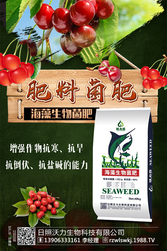 �R���Ј�ǰ����ô�����R��Nֲ����Ҫ�c����Щ����