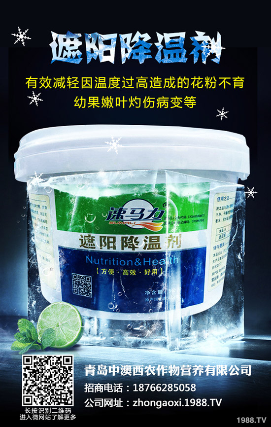 ��Ʒ�|(zh��)��Ҭ����ôʩ�����������@���c(di��n)��