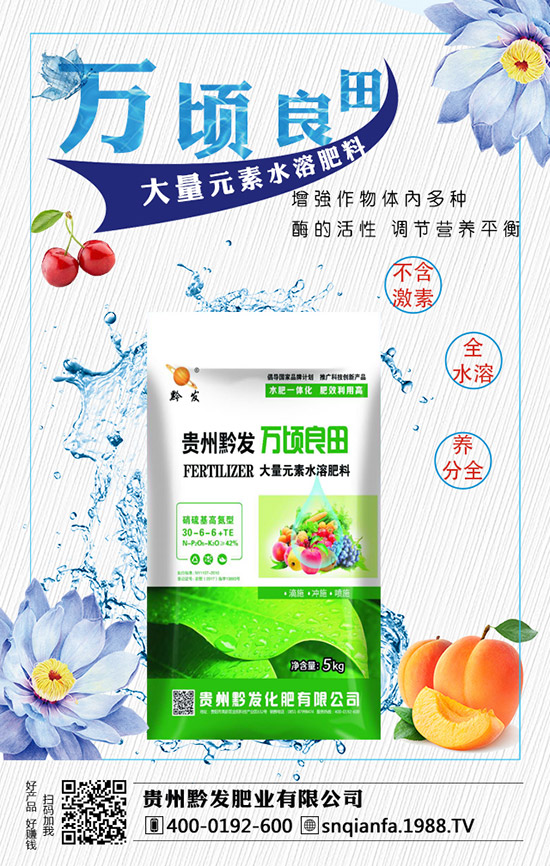 ���m�����缼�g(sh��)����Щ�����m�������ע����헣�