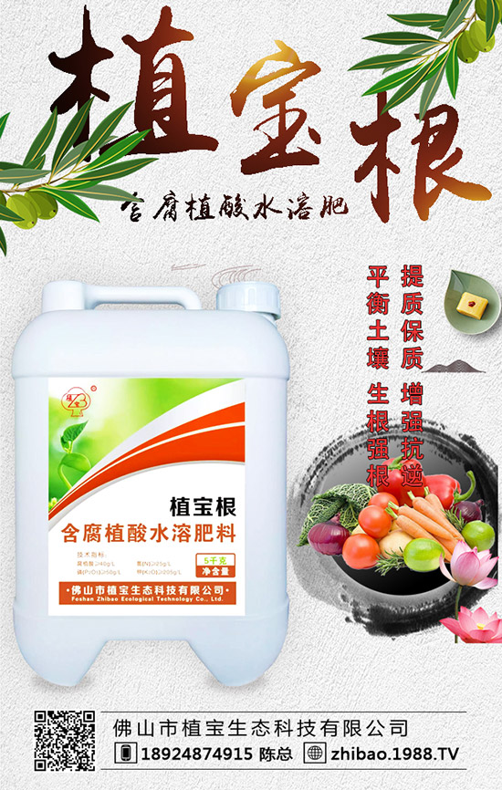 �紺���������Jʲô�r�g�N�������J��ֲ�����Ҫ�c(di��n)��