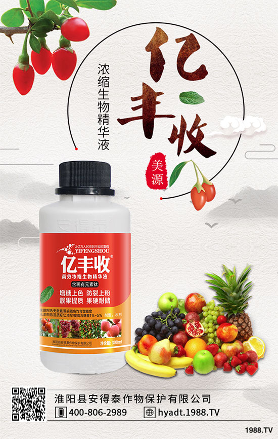 ���Ҙ����zʲô�Y�������Ҙ����z��ô������