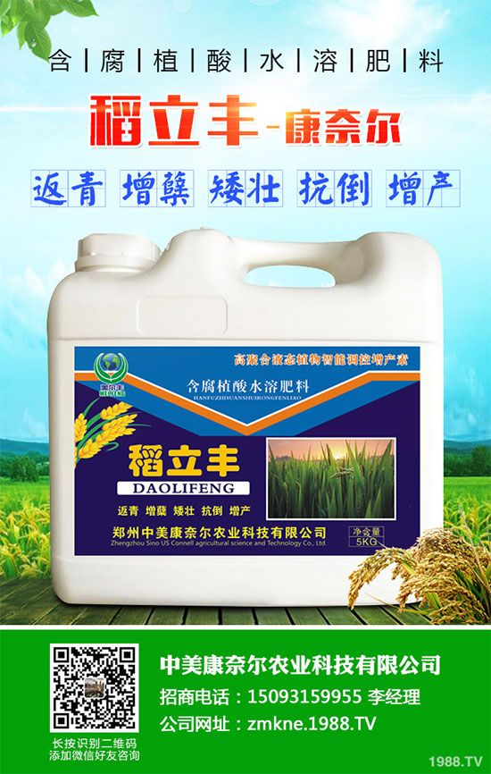 小麥四月份遇到“倒春寒”有多大影響?該如何補(bǔ)救?小麥四月份農(nóng)事指南
