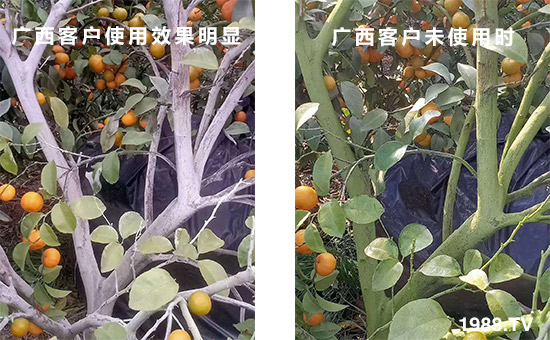 廣西客戶使用效果明顯和未使用時(shí)!