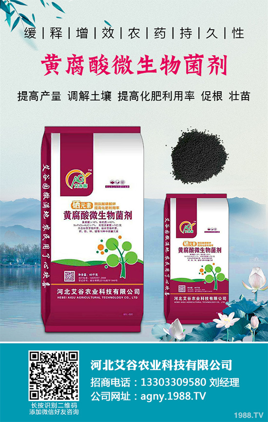 �t���߮a(ch��n)