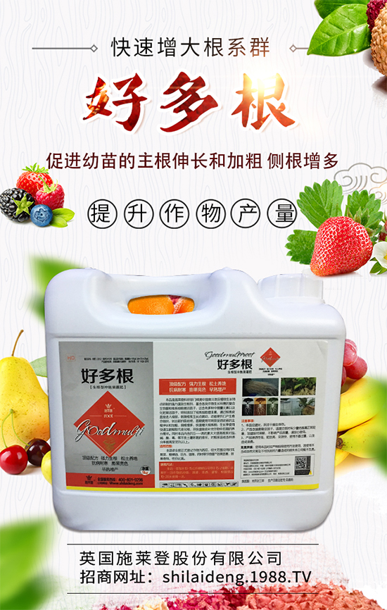 ����������ʲô�r��Nֲ�ã����˷Nֲ���g(sh��)Ҫ�c(di��n)����Щ��	