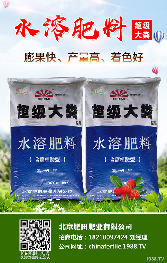 葡萄春季管理到底要做些什么?春季葡萄管理技術(shù)!