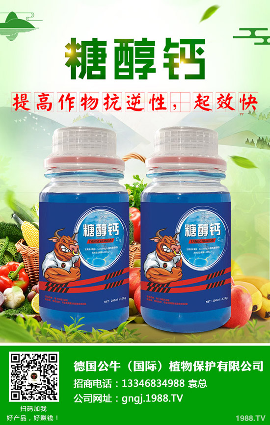 ����ʩ���v����������ʩ���Ľ���