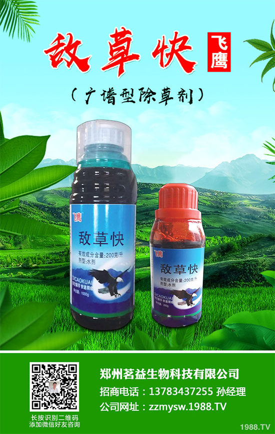 ɣ�@���݄��r��