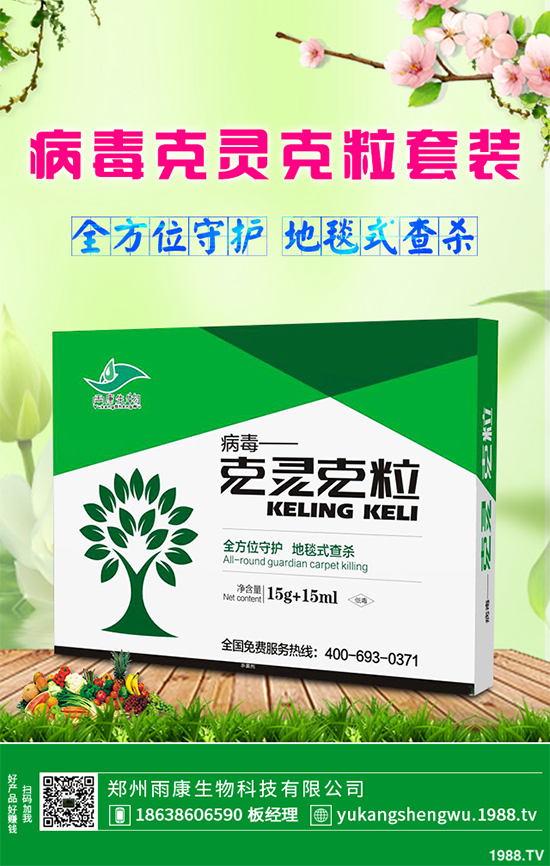 �W�ˌ�Ҫ���á���ɭ�i�\����