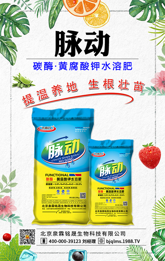 蒲公英藥用價值有哪些?蒲公英作用及功效!