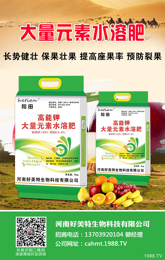 細(xì)香蔥如何種植才能高產(chǎn)？需要注意什么？這五個(gè)小技巧分享一下！