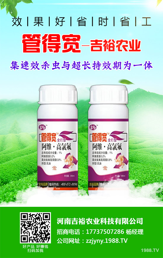 �����������x�������������������g(sh��)����