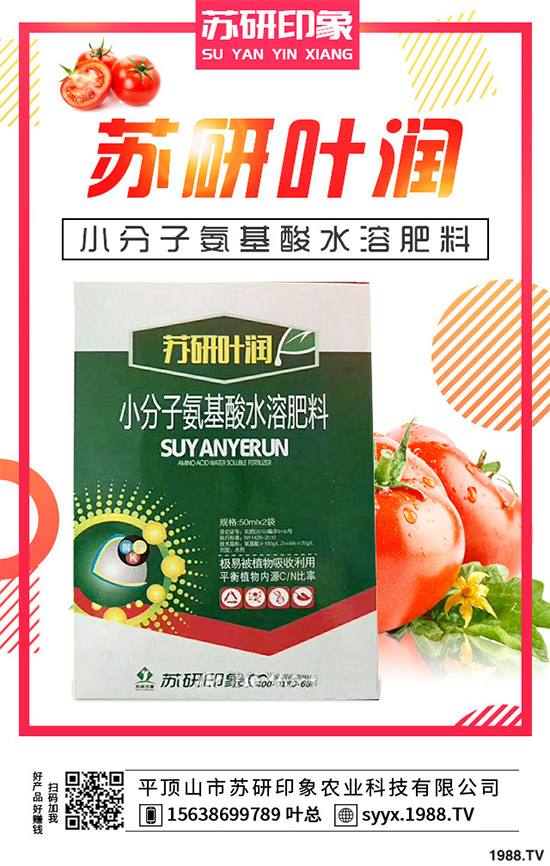 馬鈴薯該如何覆膜種植?馬鈴薯覆膜種植技術(shù)要點(diǎn)及存在的問(wèn)題