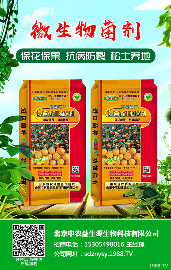 2020-4-22鉀肥國內(nèi)市場行情持續(xù)穩(wěn)定!價格整體偏低運行!最新行情分析!