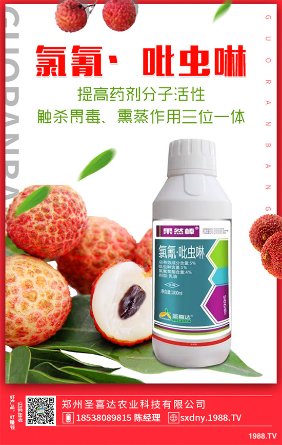 ��������ӛ���������x�y��߀�������������T��Ҫ���(qu��n)�����أ�