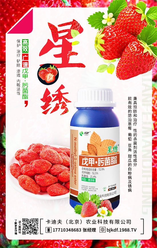 ����Ҫ��Ҫ���������������_��֦����أ�