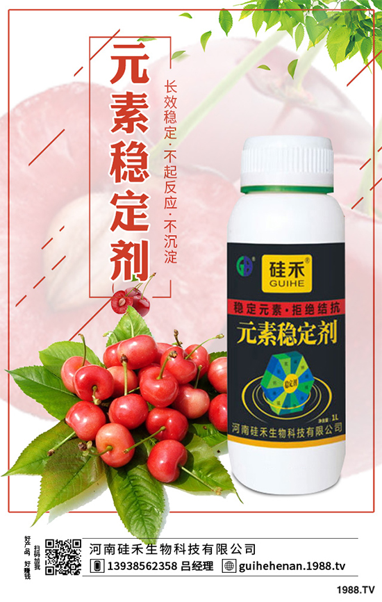 ��ˎԓ��ô�Nֲ����ˎ�Nֲ�İ˴��E�����������